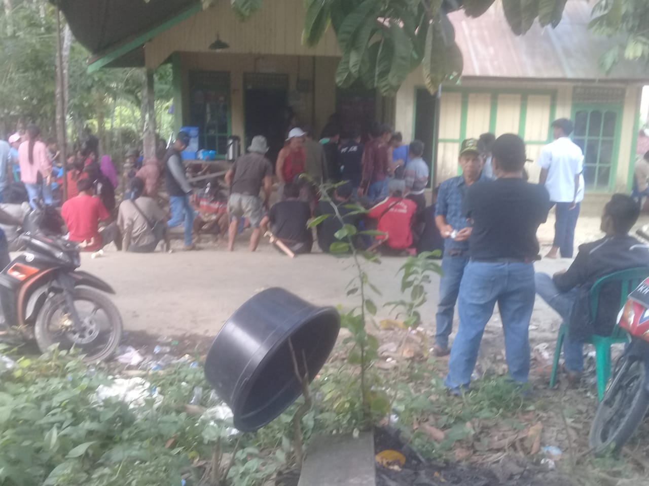 IMG-20230731-WA0003(1)